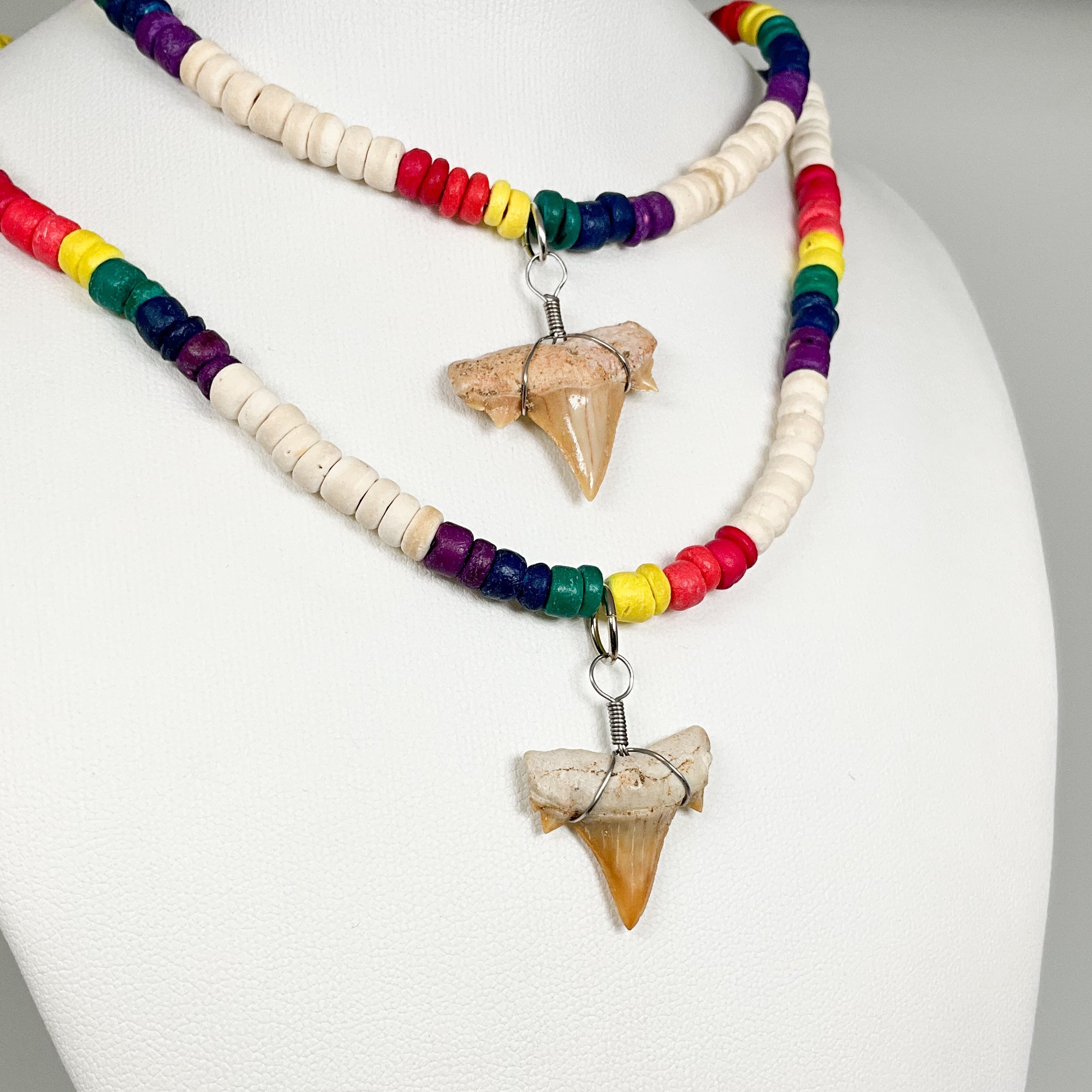 Fossilized Shark Tooth Necklace - Rocks and Gems Canada