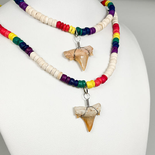 Fossilized Shark Tooth Necklace - Rocks and Gems Canada