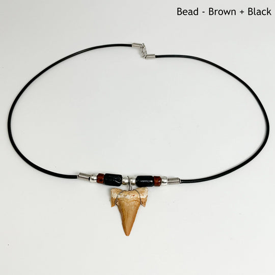 Fossilized Shark Tooth Necklace - Rocks and Gems Canada