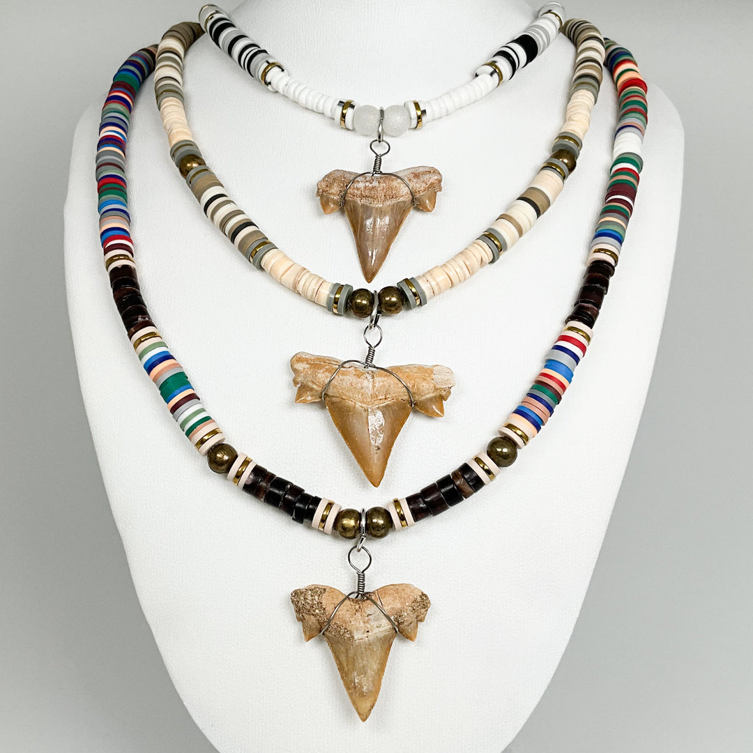 Fossilized Shark Tooth Necklace - Rocks and Gems Canada