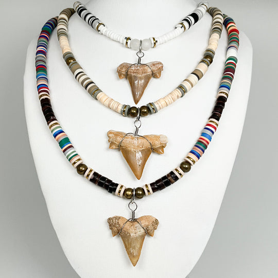 Fossilized Shark Tooth Necklace - Rocks and Gems Canada