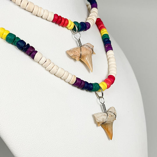 Fossilized Shark Tooth Necklace - Rocks and Gems Canada