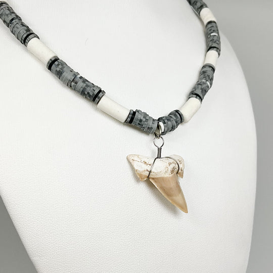 Fossilized Shark Tooth Necklace - Rocks and Gems Canada