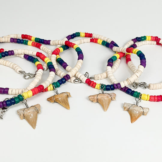 Fossilized Shark Tooth Necklace - Rocks and Gems Canada