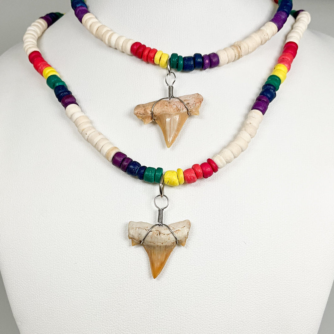 Fossilized Shark Tooth Necklace - Rocks and Gems Canada