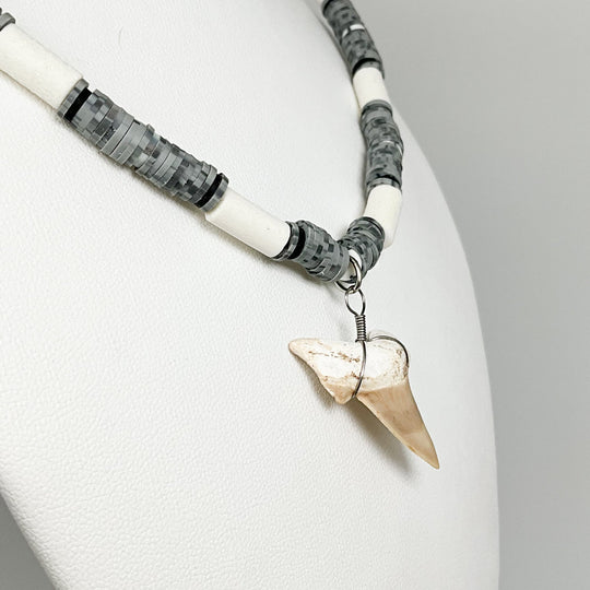 Fossilized Shark Tooth Necklace - Rocks and Gems Canada