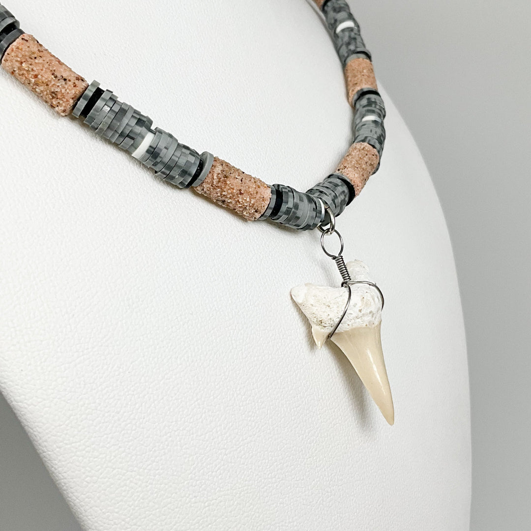 Fossilized Shark Tooth Necklace - Rocks and Gems Canada