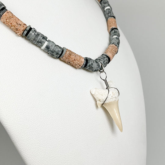 Fossilized Shark Tooth Necklace - Rocks and Gems Canada