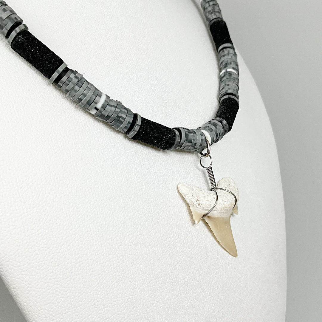 Fossilized Shark Tooth Necklace - Rocks and Gems Canada