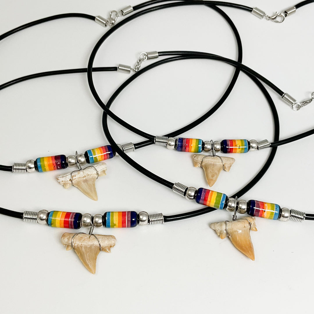 Fossilized Shark Tooth Necklace - Rocks and Gems Canada