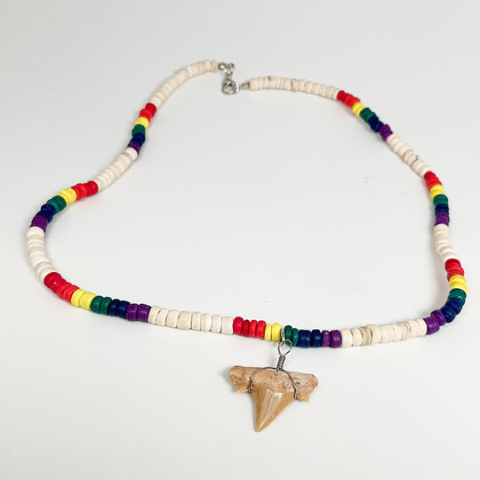 Fossilized Shark Tooth Necklace - Rocks and Gems Canada