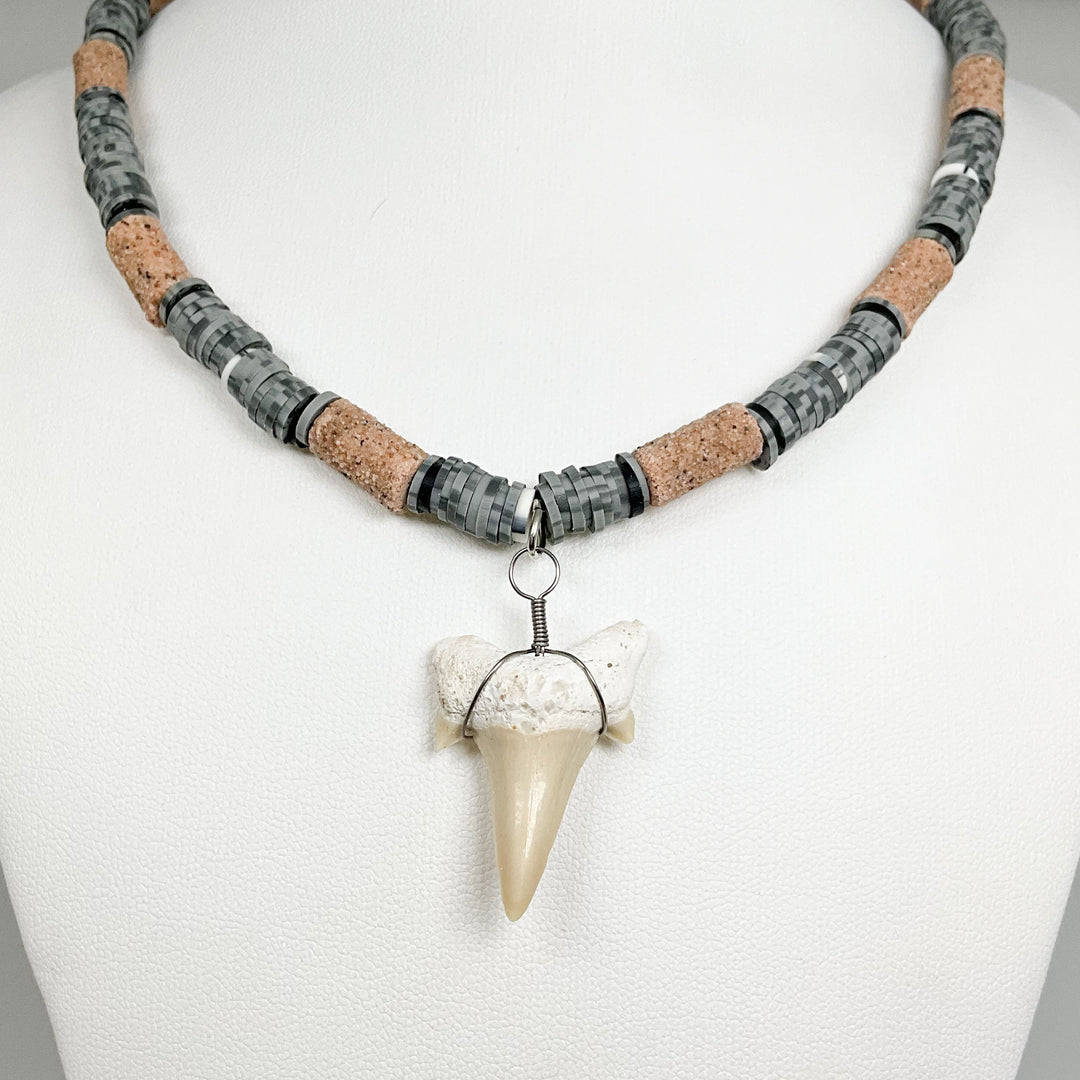 Fossilized Shark Tooth Necklace - Rocks and Gems Canada
