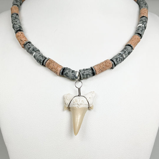 Fossilized Shark Tooth Necklace - Rocks and Gems Canada