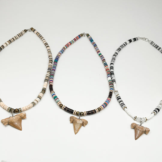 Fossilized Shark Tooth Necklace - Rocks and Gems Canada