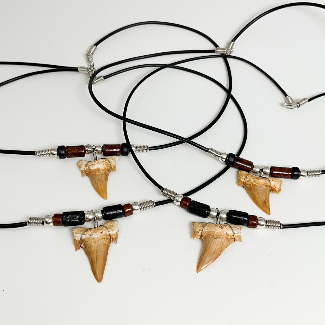 Fossilized Shark Tooth Necklace - Rocks and Gems Canada