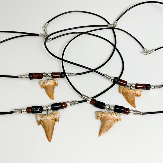 Fossilized Shark Tooth Necklace - Rocks and Gems Canada