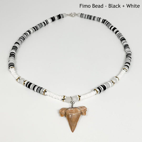 Fossilized Shark Tooth Necklace - Rocks and Gems Canada