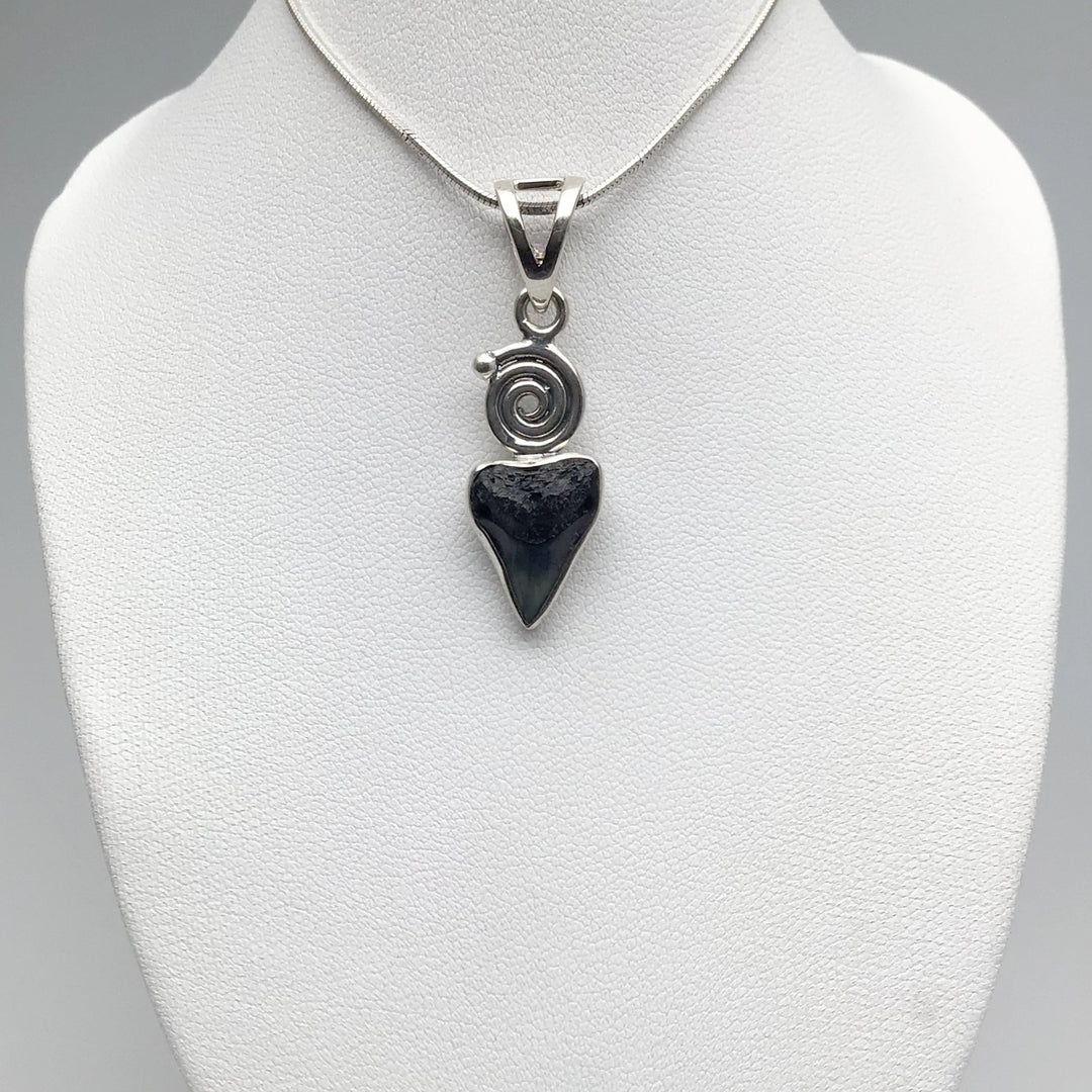 Fossilized Shark Tooth Pendant - Rocks and Gems Canada