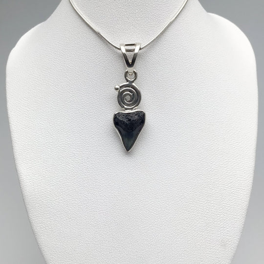 Fossilized Shark Tooth Pendant - Rocks and Gems Canada