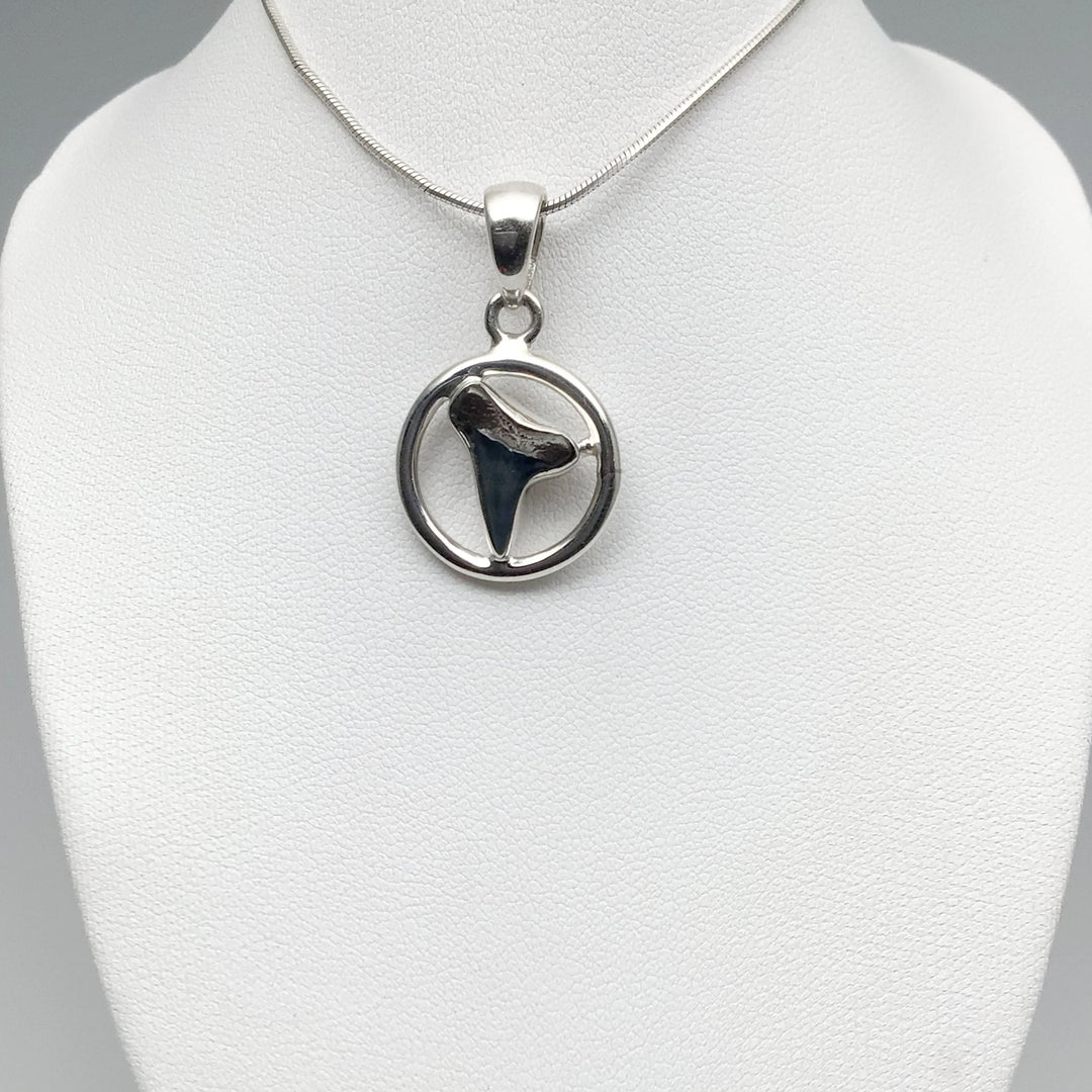 Fossilized Shark Tooth Pendant - Rocks and Gems Canada