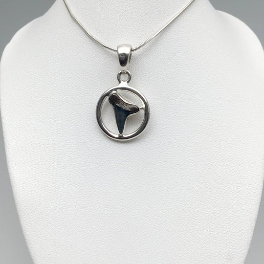 Fossilized Shark Tooth Pendant - Rocks and Gems Canada