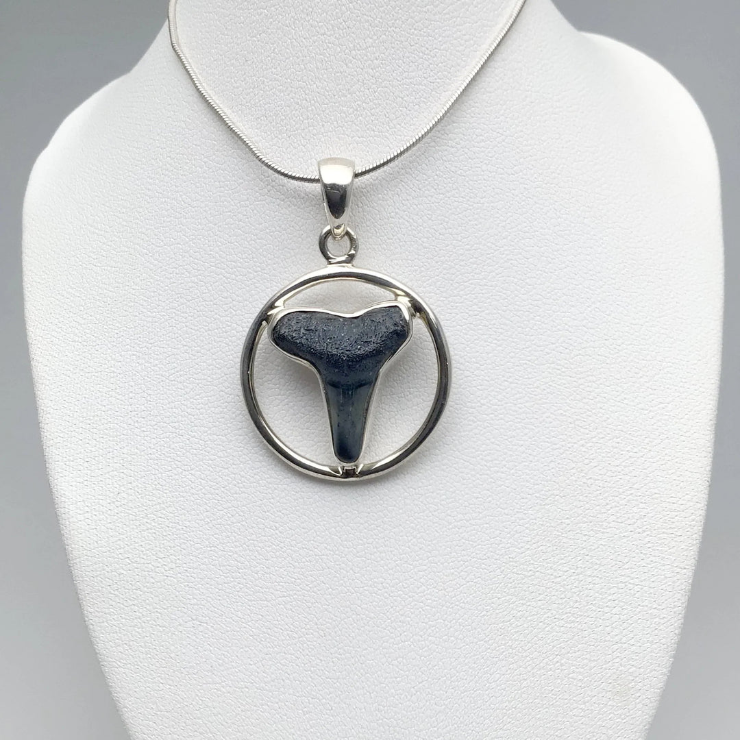 Fossilized Shark Tooth Pendant - Rocks and Gems Canada
