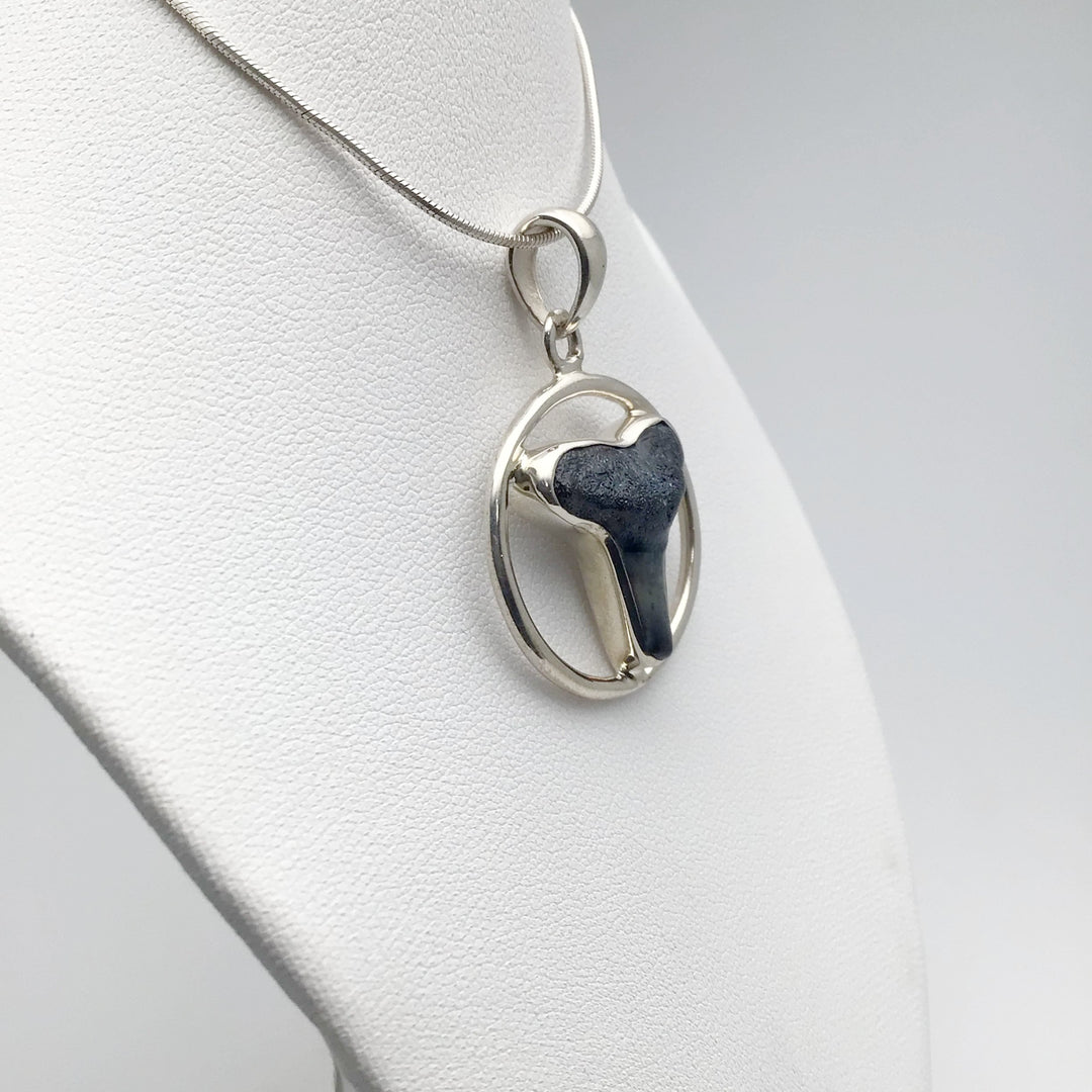 Fossilized Shark Tooth Pendant - Rocks and Gems Canada