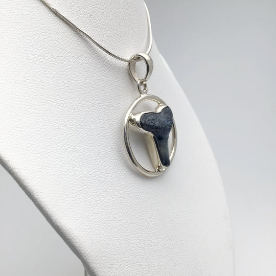 Fossilized Shark Tooth Pendant - Rocks and Gems Canada