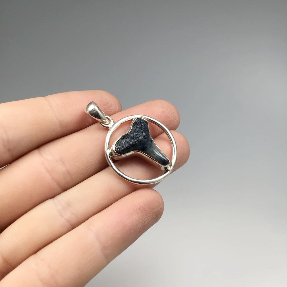 Fossilized Shark Tooth Pendant - Rocks and Gems Canada