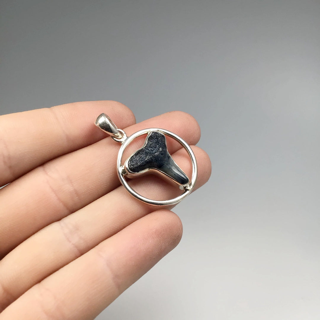 Fossilized Shark Tooth Pendant - Rocks and Gems Canada