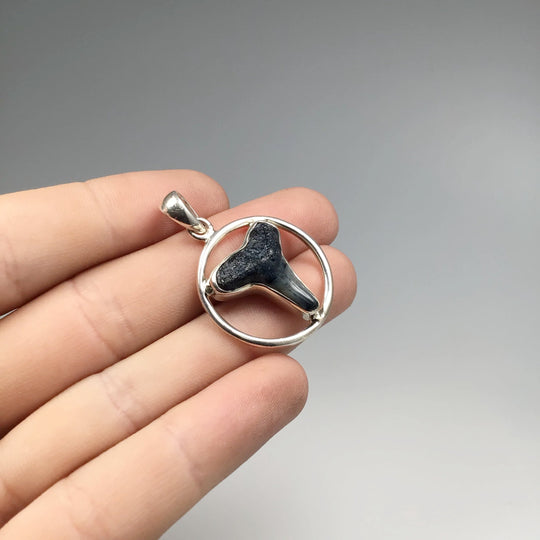 Fossilized Shark Tooth Pendant - Rocks and Gems Canada