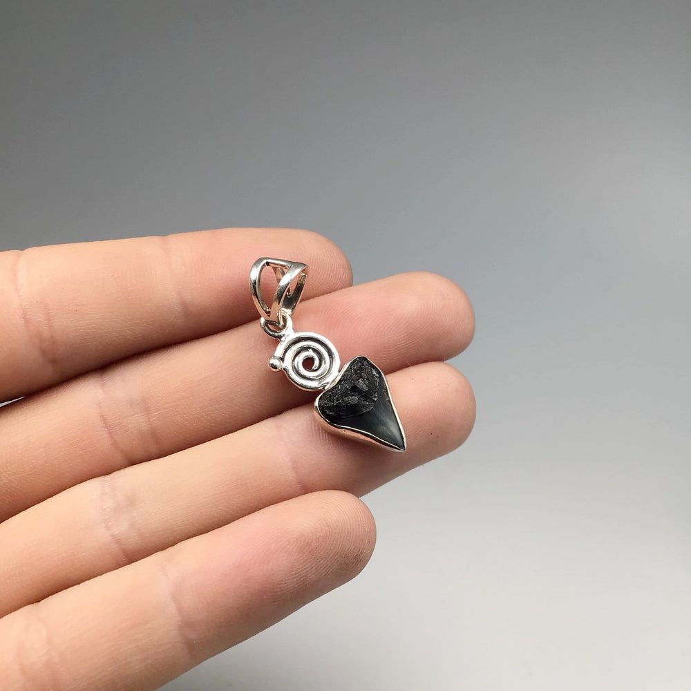 Fossilized Shark Tooth Pendant - Rocks and Gems Canada