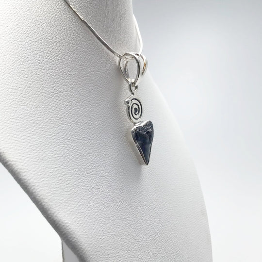 Fossilized Shark Tooth Pendant - Rocks and Gems Canada