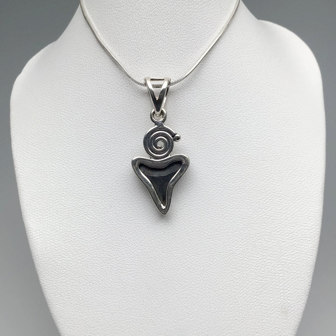Fossilized Shark Tooth Pendant - Rocks and Gems Canada