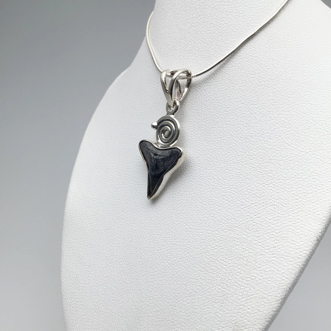 Fossilized Shark Tooth Pendant - Rocks and Gems Canada