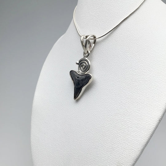 Fossilized Shark Tooth Pendant - Rocks and Gems Canada
