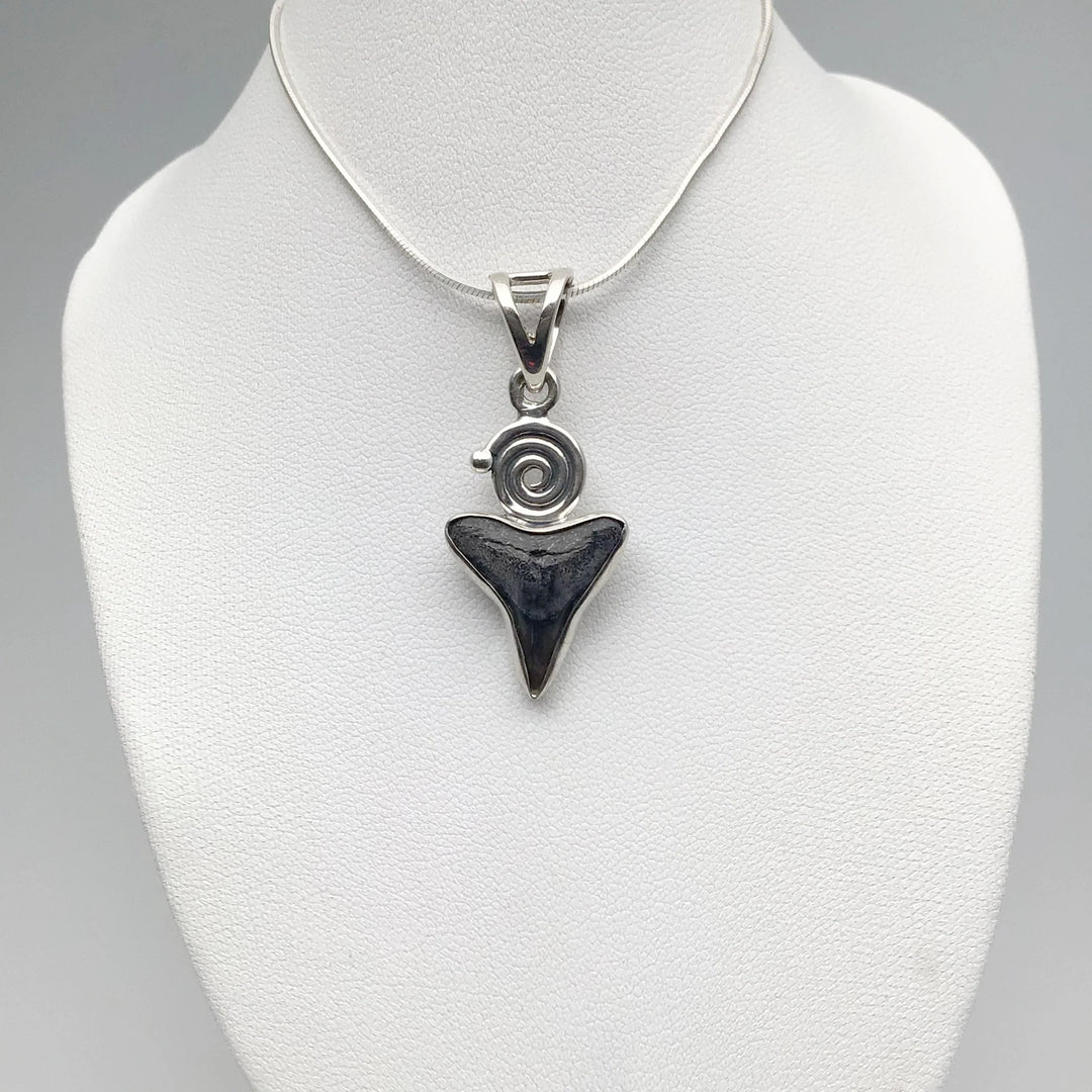 Fossilized Shark Tooth Pendant - Rocks and Gems Canada