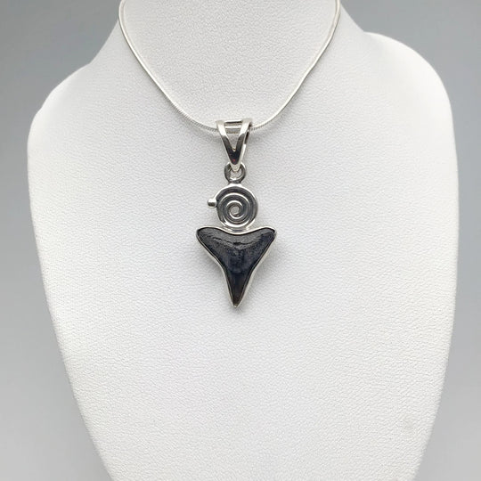 Fossilized Shark Tooth Pendant - Rocks and Gems Canada