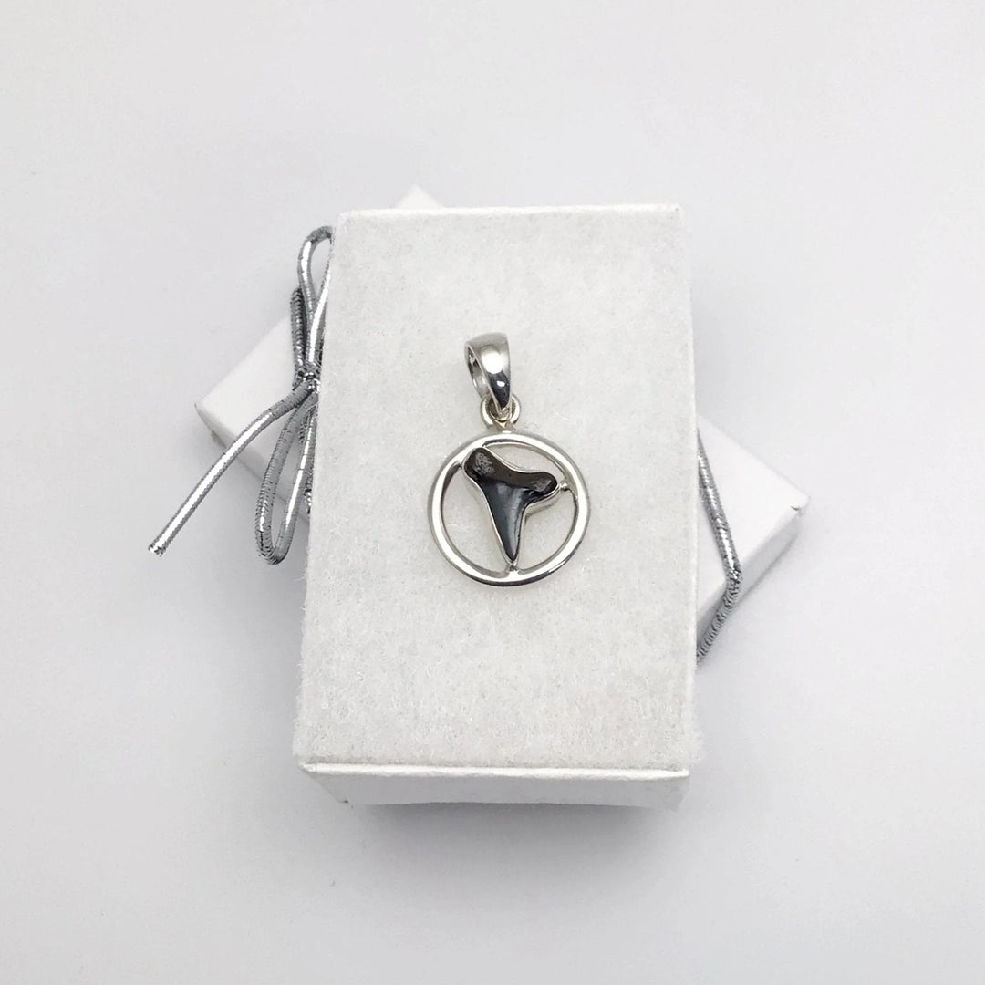 Fossilized Shark Tooth Pendant - Rocks and Gems Canada