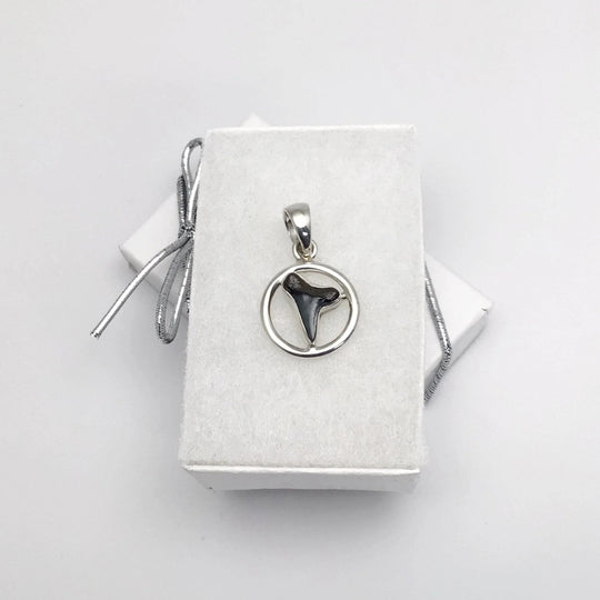 Fossilized Shark Tooth Pendant - Rocks and Gems Canada