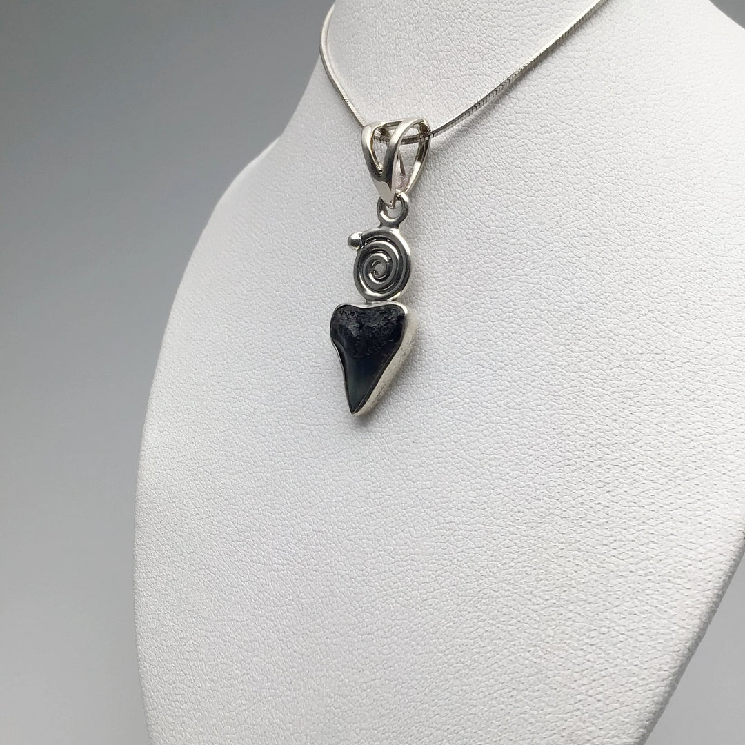 Fossilized Shark Tooth Pendant - Rocks and Gems Canada