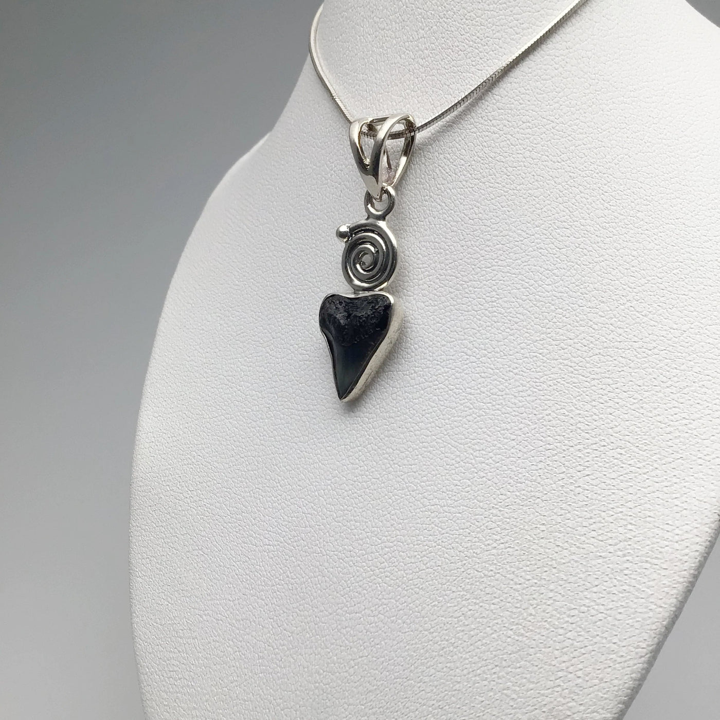 Fossilized Shark Tooth Pendant