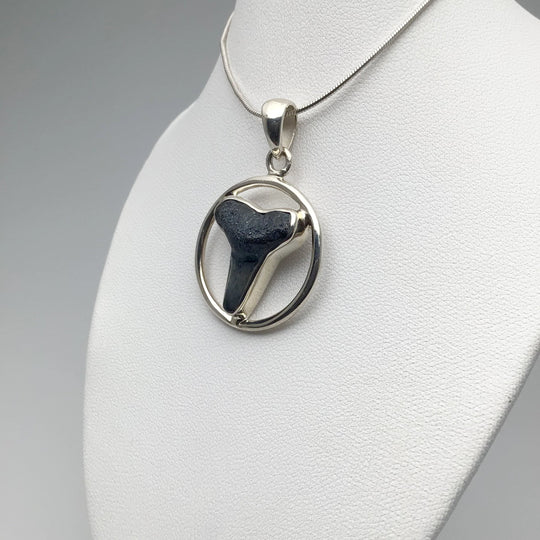 Fossilized Shark Tooth Pendant - Rocks and Gems Canada