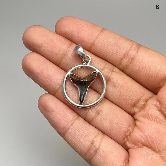 Fossilized Shark Tooth Pendant - Rocks and Gems Canada