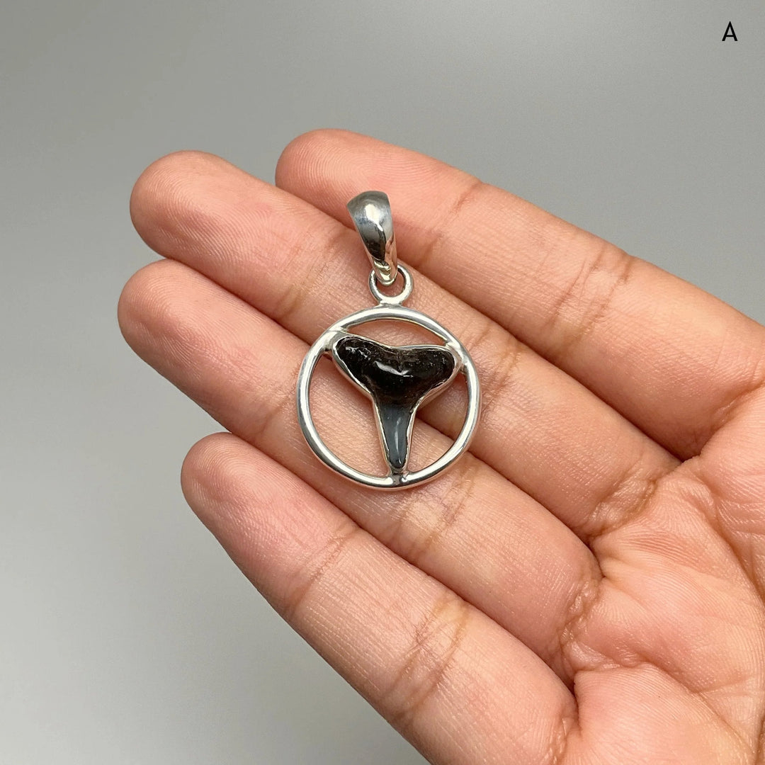 Fossilized Shark Tooth Pendant - Rocks and Gems Canada