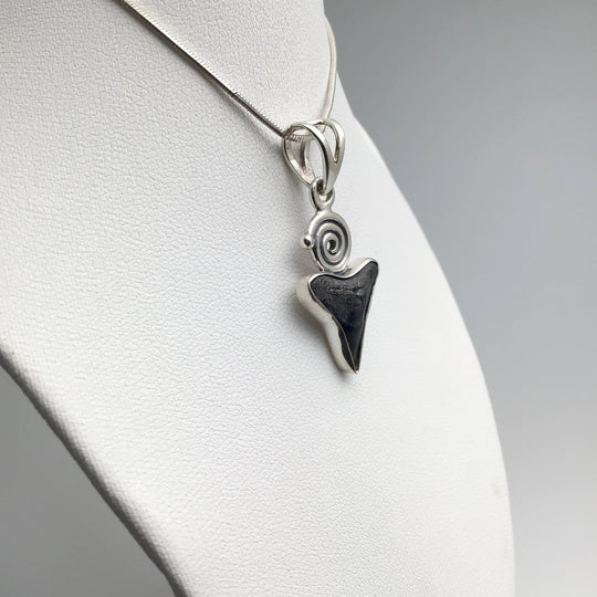 Fossilized Shark Tooth Pendant - Rocks and Gems Canada