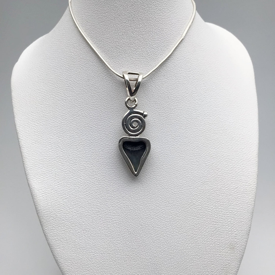 Fossilized Shark Tooth Pendant - Rocks and Gems Canada