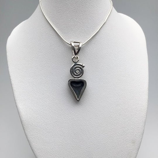 Fossilized Shark Tooth Pendant - Rocks and Gems Canada