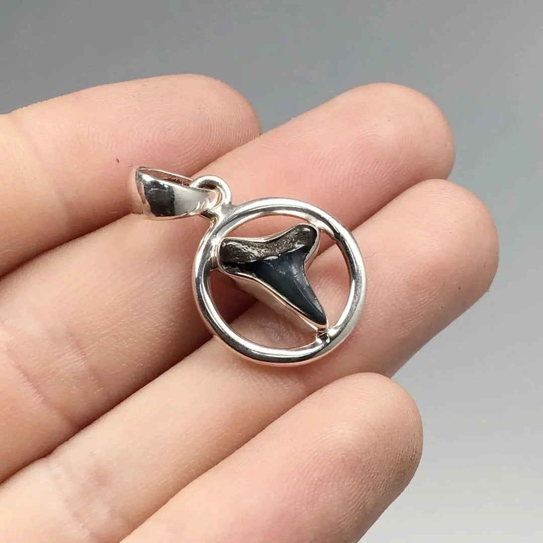 Fossilized Shark Tooth Pendant - Rocks and Gems Canada