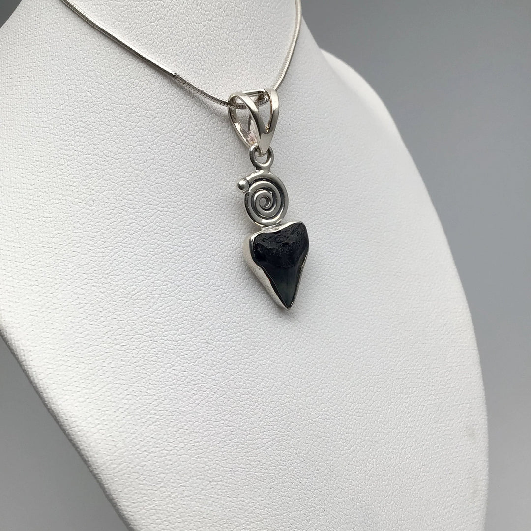 Fossilized Shark Tooth Pendant - Rocks and Gems Canada